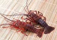 the boiling time for crawfish