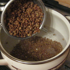 put lentils in water