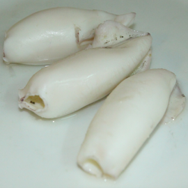 boiled Calamari